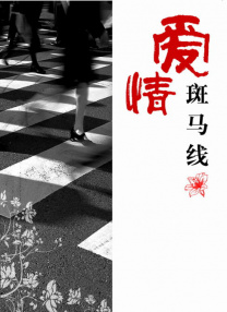 国产成人综合洲欧美在线